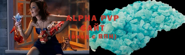 прущие грибы Белокуриха