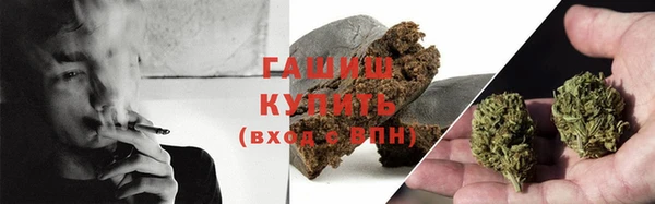 прущие грибы Белокуриха